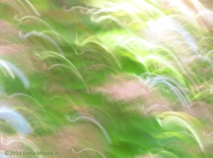 photodigital image of camera motion image capture of flowers pink, blue, greens and light EMJ