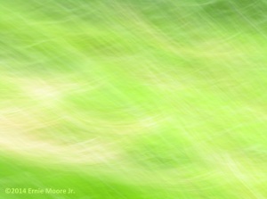 photo digital image ocean of green colors with light on it EMJ