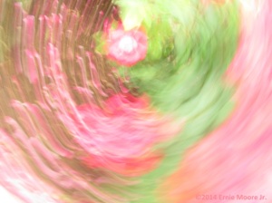 Photograph containing an enlightened rose central to a swirl with green becomin pinks becoming people like figures EMJ