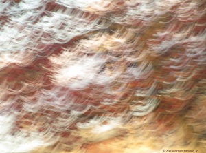 photodigital camera motion image capture upturned curves of light on a rust background E M J
