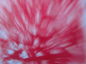 photodigital camera motion image capture of discovered art in red acrylic looks like a vocal blast from an angel E M J