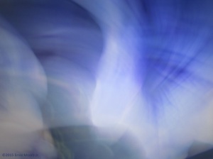 Camera motion image capture of blue flowers making a semblance of squinting eyes E M J